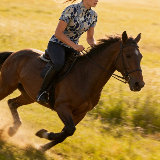 The World Equestrian Games: Where Horse Sport Legends Are Made